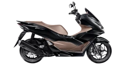 PCX 160 DLX