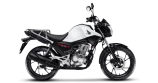 CG 160 CARGO